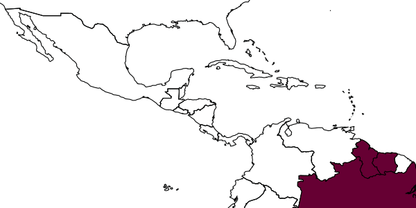 map of Polybia bicyttarella     Richards, 1951